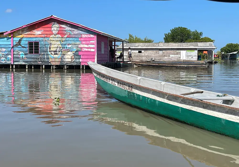 Recorrido en lancha por los humedales de la Ciénaga Grande