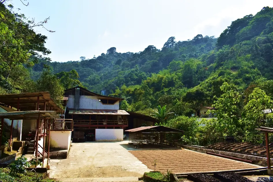 Travelers exploring the natural landscapes around Santa Marta
