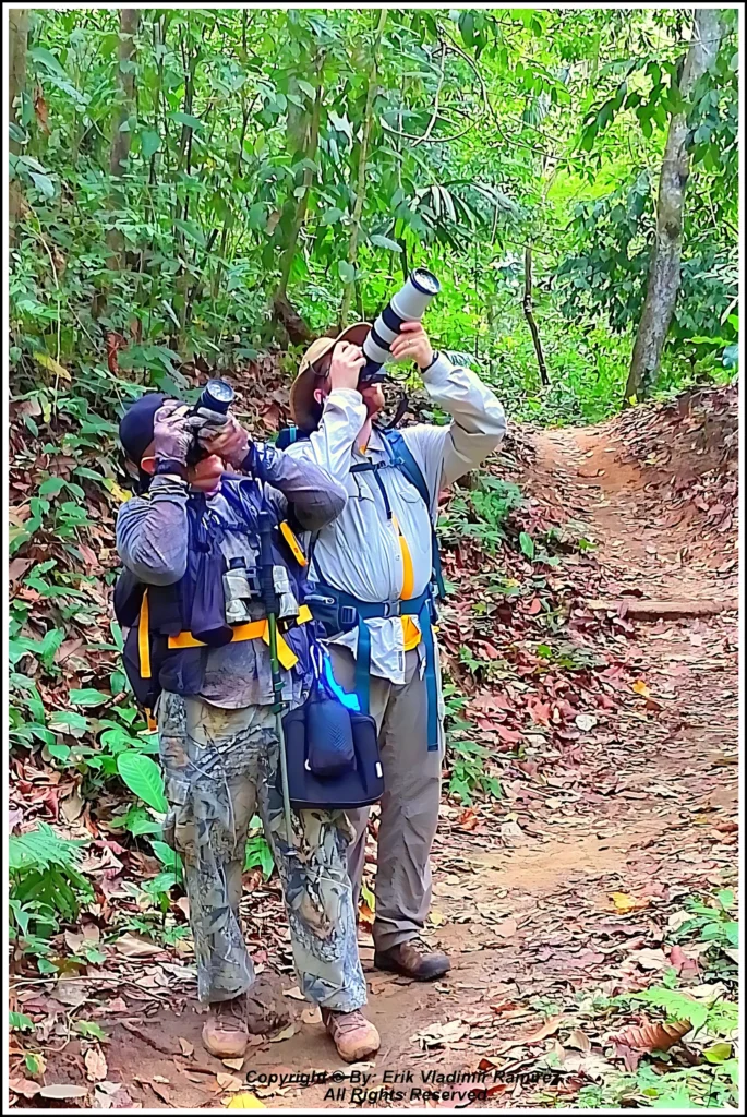 Birding activity on the mountain route above Santa Marta