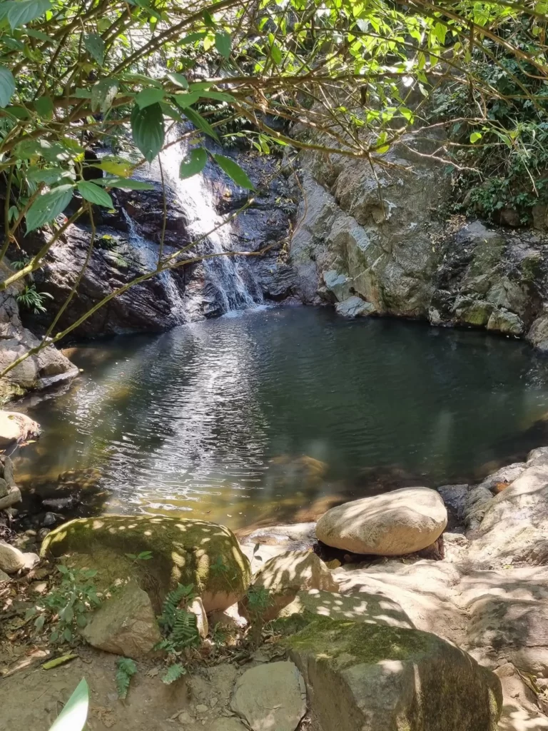 Traveler enjoying the natural scenery during a Minca excursion